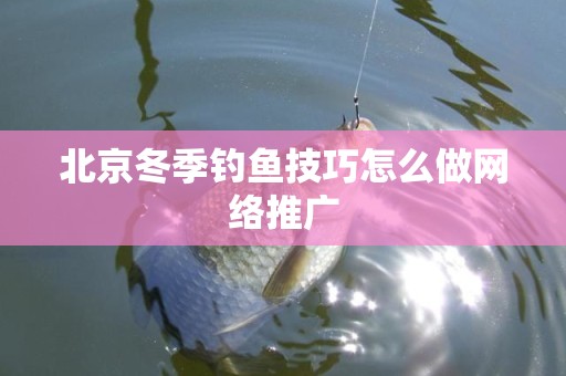 北京冬季钓鱼技巧怎么做网络推广
