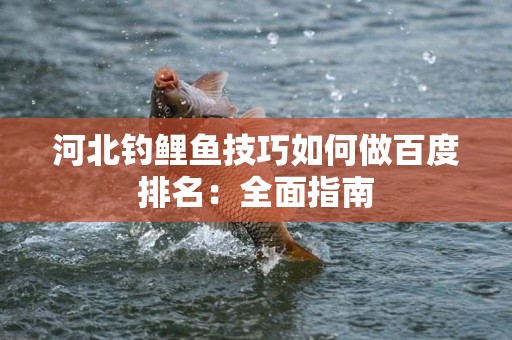 河北钓鲤鱼技巧如何做百度排名：全面指南