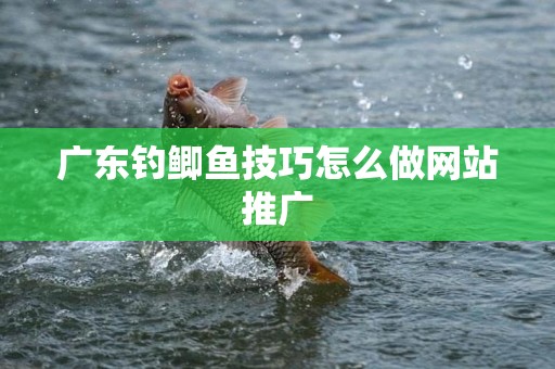 广东钓鲫鱼技巧怎么做网站推广