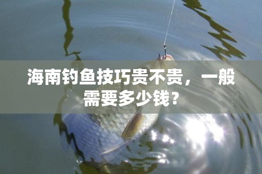 海南钓鱼技巧贵不贵，一般需要多少钱？
