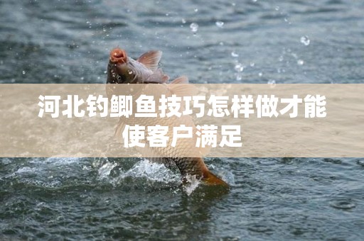 河北钓鲫鱼技巧怎样做才能使客户满足