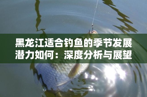 黑龙江适合钓鱼的季节发展潜力如何：深度分析与展望