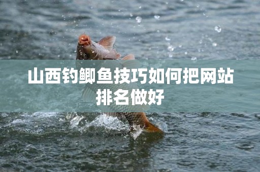 山西钓鲫鱼技巧如何把网站排名做好