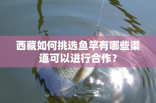 西藏如何挑选鱼竿有哪些渠道可以进行合作？