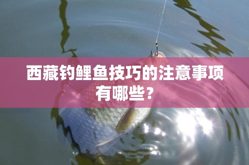 西藏钓鲤鱼技巧的注意事项有哪些？