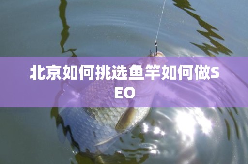 北京如何挑选鱼竿如何做SEO