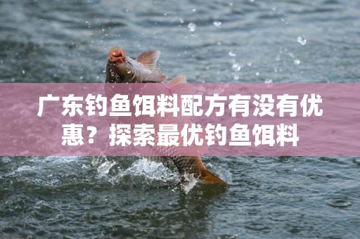 广东钓鱼饵料配方有没有优惠？探索最优钓鱼饵料