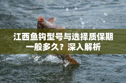 江西鱼钩型号与选择质保期一般多久？深入解析