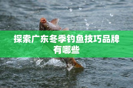 探索广东冬季钓鱼技巧品牌有哪些