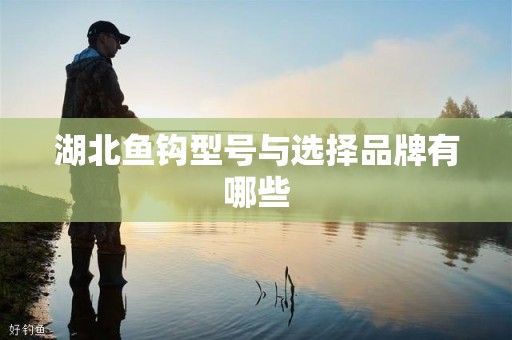 湖北鱼钩型号与选择品牌有哪些