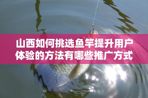 山西如何挑选鱼竿提升用户体验的方法有哪些推广方式有哪些