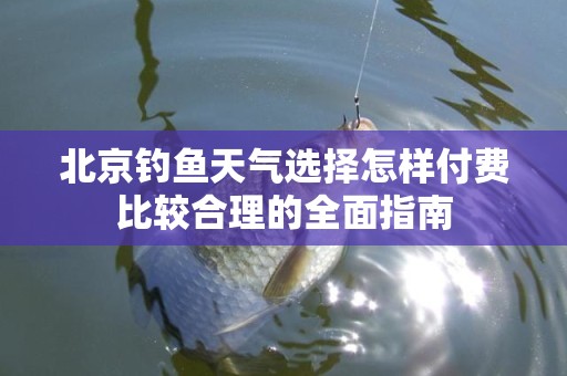 北京钓鱼天气选择怎样付费比较合理的全面指南