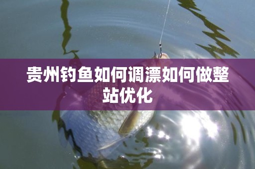 贵州钓鱼如何调漂如何做整站优化