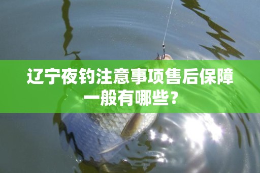 辽宁夜钓注意事项售后保障一般有哪些？