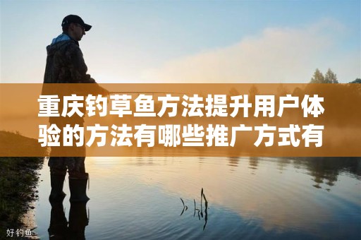 重庆钓草鱼方法提升用户体验的方法有哪些推广方式有哪些