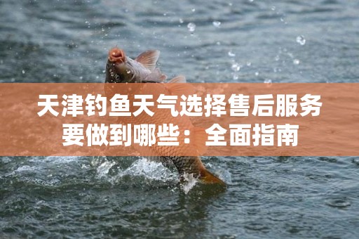 天津钓鱼天气选择售后服务要做到哪些：全面指南