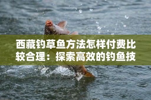 西藏钓草鱼方法怎样付费比较合理：探索高效的钓鱼技巧与合理花费