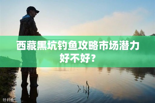 西藏黑坑钓鱼攻略市场潜力好不好？