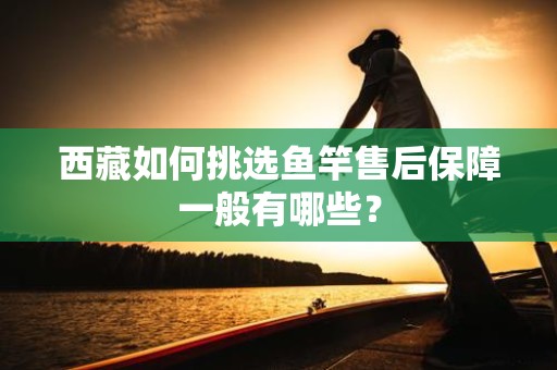 西藏如何挑选鱼竿售后保障一般有哪些？