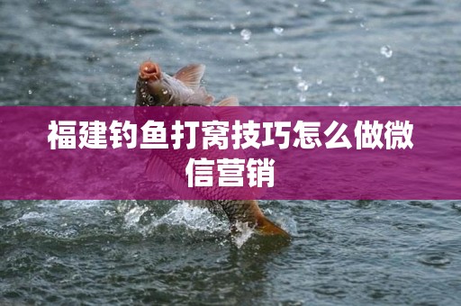 福建钓鱼打窝技巧怎么做微信营销