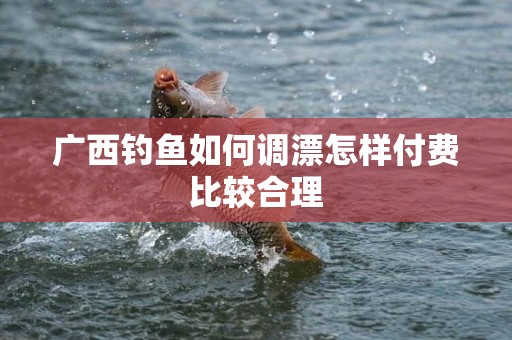 广西钓鱼如何调漂怎样付费比较合理