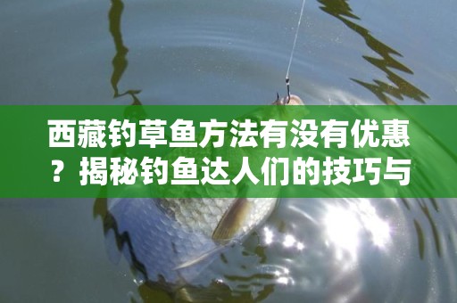 西藏钓草鱼方法有没有优惠？揭秘钓鱼达人们的技巧与优惠信息