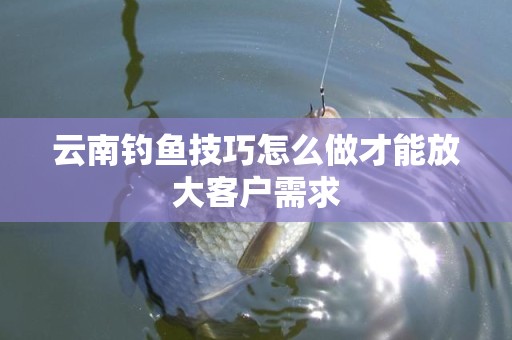 云南钓鱼技巧怎么做才能放大客户需求