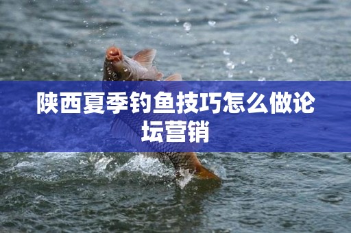 陕西夏季钓鱼技巧怎么做论坛营销