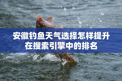 安徽钓鱼天气选择怎样提升在搜索引擎中的排名