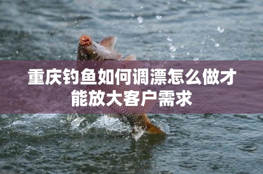 重庆钓鱼如何调漂怎么做才能放大客户需求