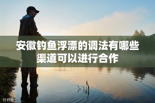 安徽钓鱼浮漂的调法有哪些渠道可以进行合作