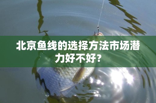 北京鱼线的选择方法市场潜力好不好？