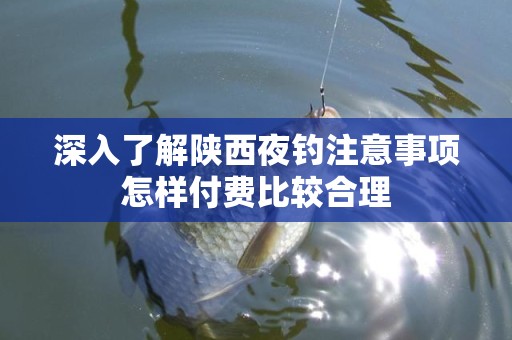 深入了解陕西夜钓注意事项怎样付费比较合理