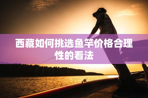 西藏如何挑选鱼竿价格合理性的看法