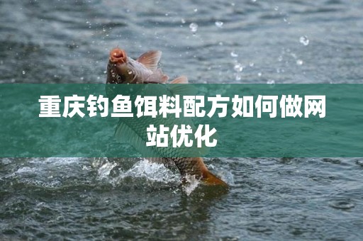 重庆钓鱼饵料配方如何做网站优化
