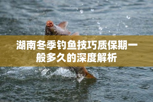 湖南冬季钓鱼技巧质保期一般多久的深度解析