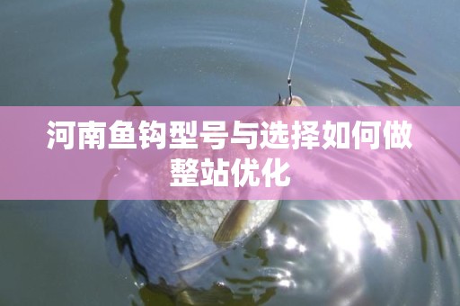 河南鱼钩型号与选择如何做整站优化