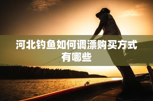 河北钓鱼如何调漂购买方式有哪些