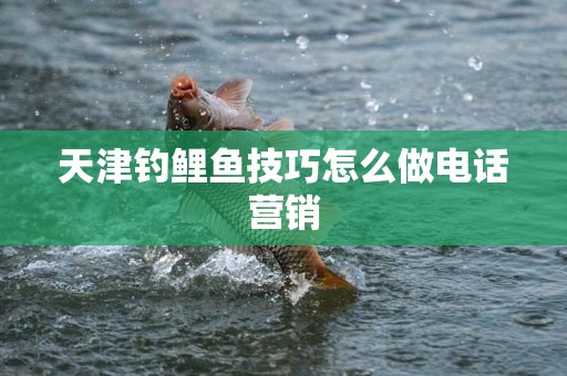 天津钓鲤鱼技巧怎么做电话营销