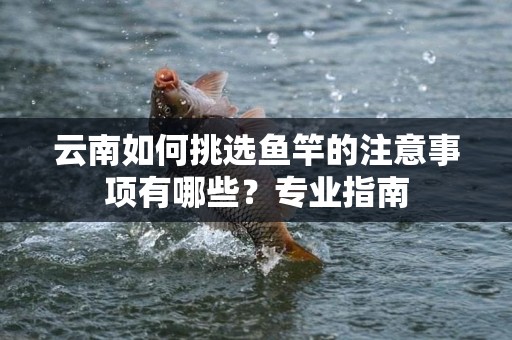 云南如何挑选鱼竿的注意事项有哪些？专业指南