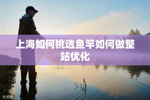 上海如何挑选鱼竿如何做整站优化