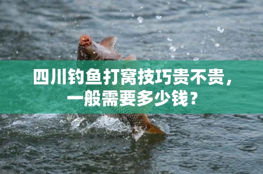 四川钓鱼打窝技巧贵不贵，一般需要多少钱？