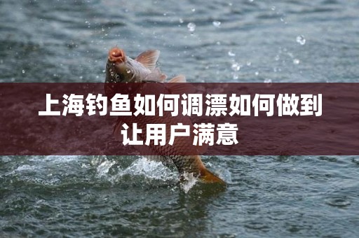 上海钓鱼如何调漂如何做到让用户满意