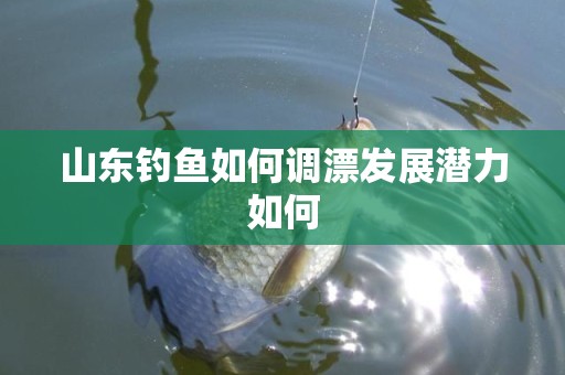 山东钓鱼如何调漂发展潜力如何