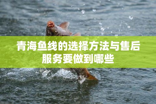 青海鱼线的选择方法与售后服务要做到哪些