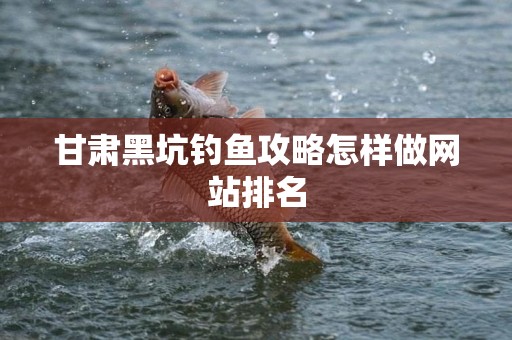 甘肃黑坑钓鱼攻略怎样做网站排名