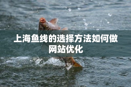 上海鱼线的选择方法如何做网站优化