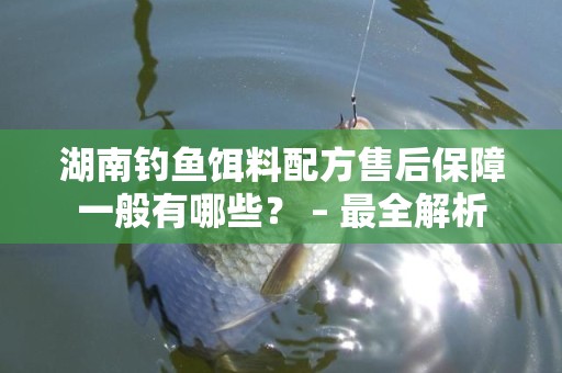 湖南钓鱼饵料配方售后保障一般有哪些？ – 最全解析