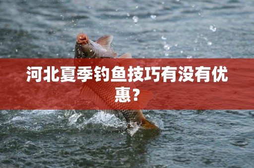 河北夏季钓鱼技巧有没有优惠？
