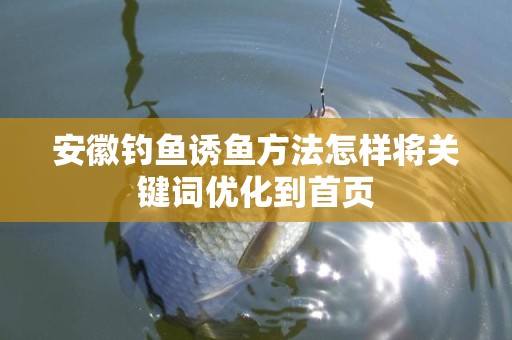 安徽钓鱼诱鱼方法怎样将关键词优化到首页